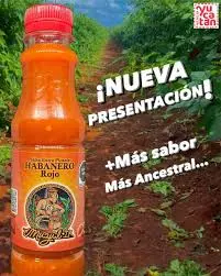 Salsa habanera roja, muzul ink, kilo