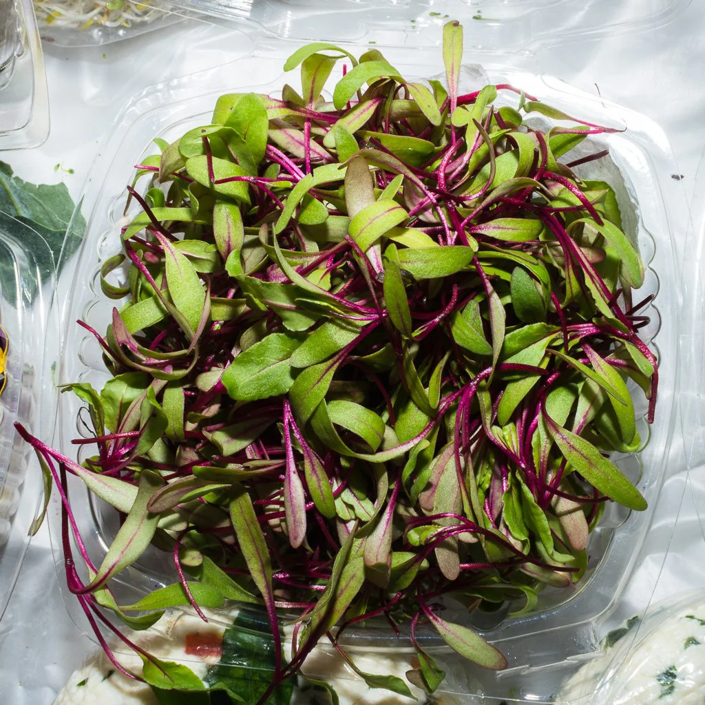 Brotes de betabel domo, domo