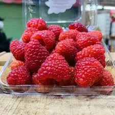 [1652] Frambuesa tierna domo, 170 gramos, domo