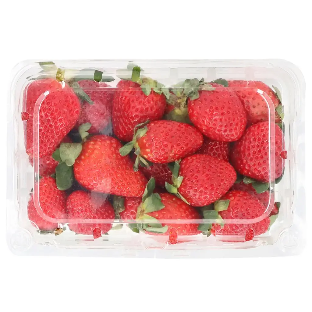 Fresas medianas domo 454 g, domo