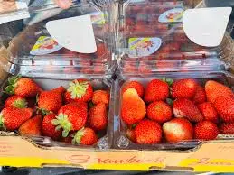 [1655] Fresa mediana, de kilo, domo