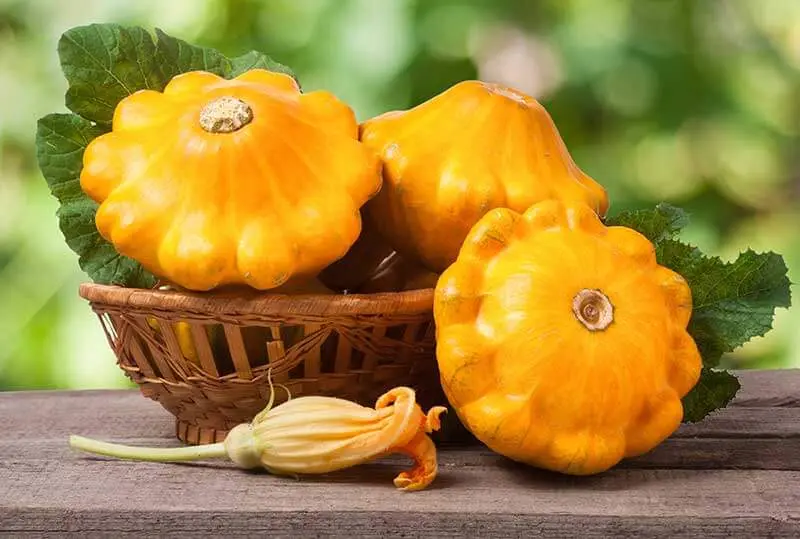 Calabaza estrella, kilo