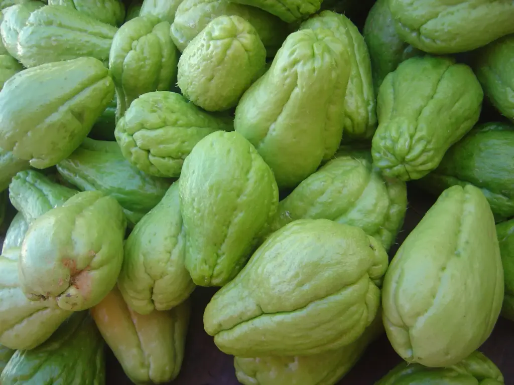 Chayote, caja