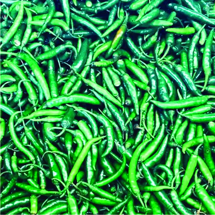 Chile de arbol verde fresco, kilo