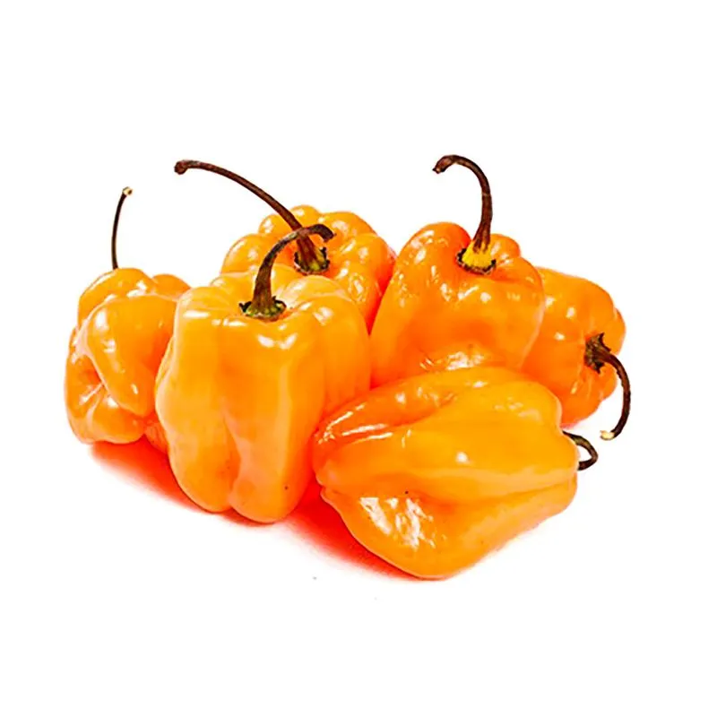 Chile habanero naranja, kilo