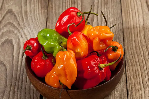 [1738] Chile habanero, kilo