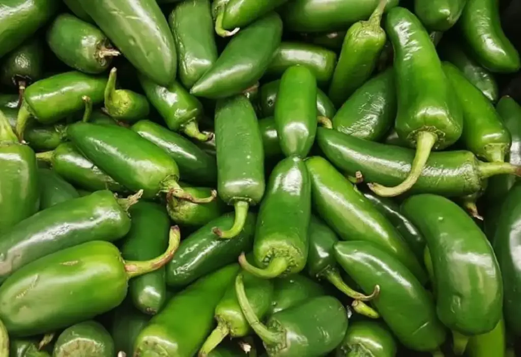 Chile jalapeño, kilo
