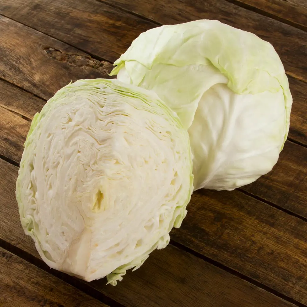 Col blanca chica, pieza