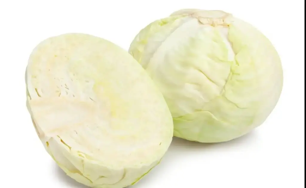 Col blanca grande, pieza