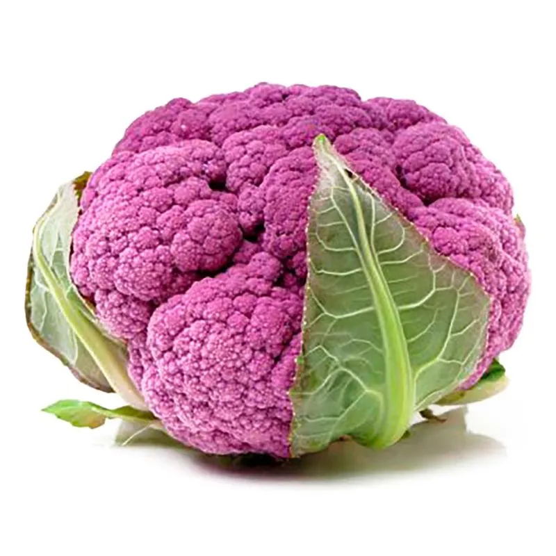 Coliflor morada, pieza
