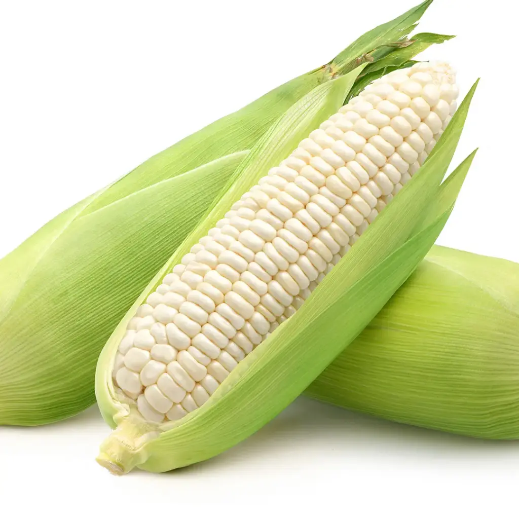 Elote blanco pieza, pieza