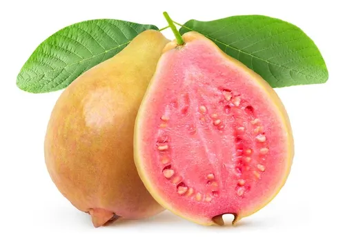 Guayaba rosa, kilo
