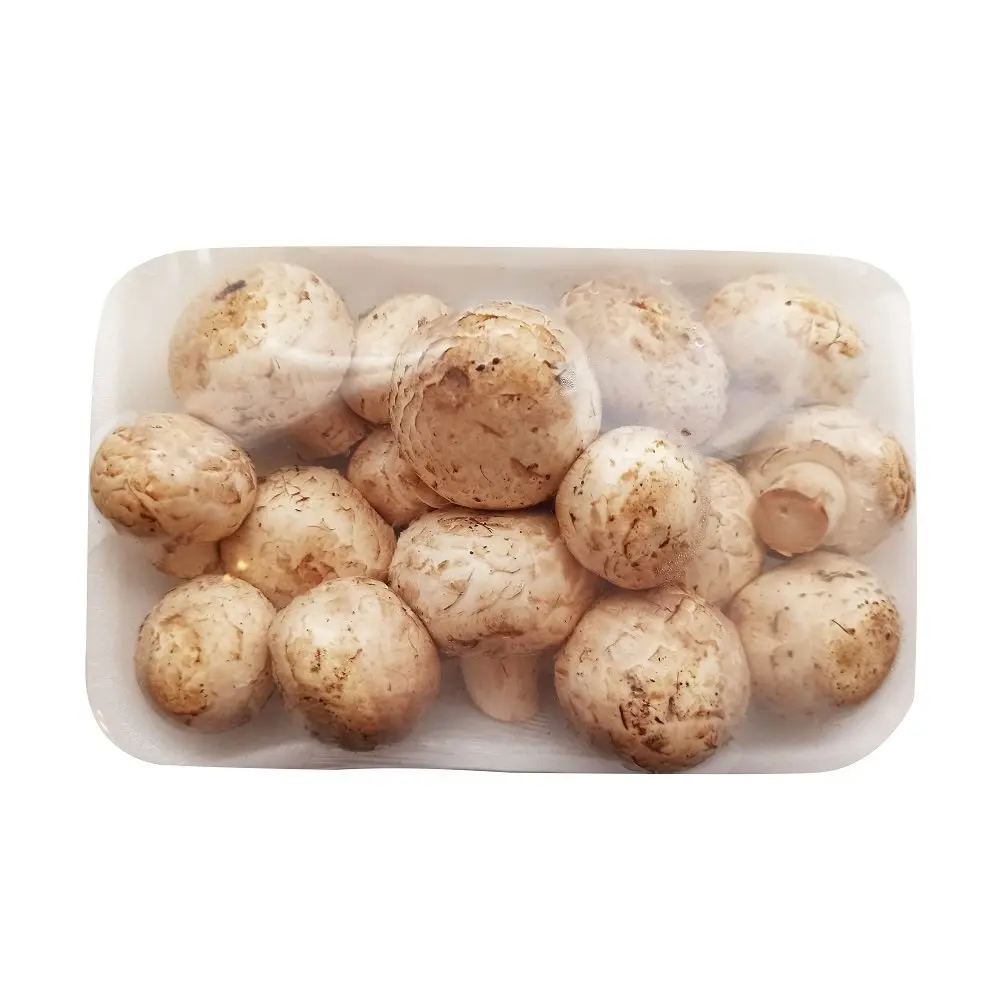 [1804] Hongo champiñón, 225 gramos, charola