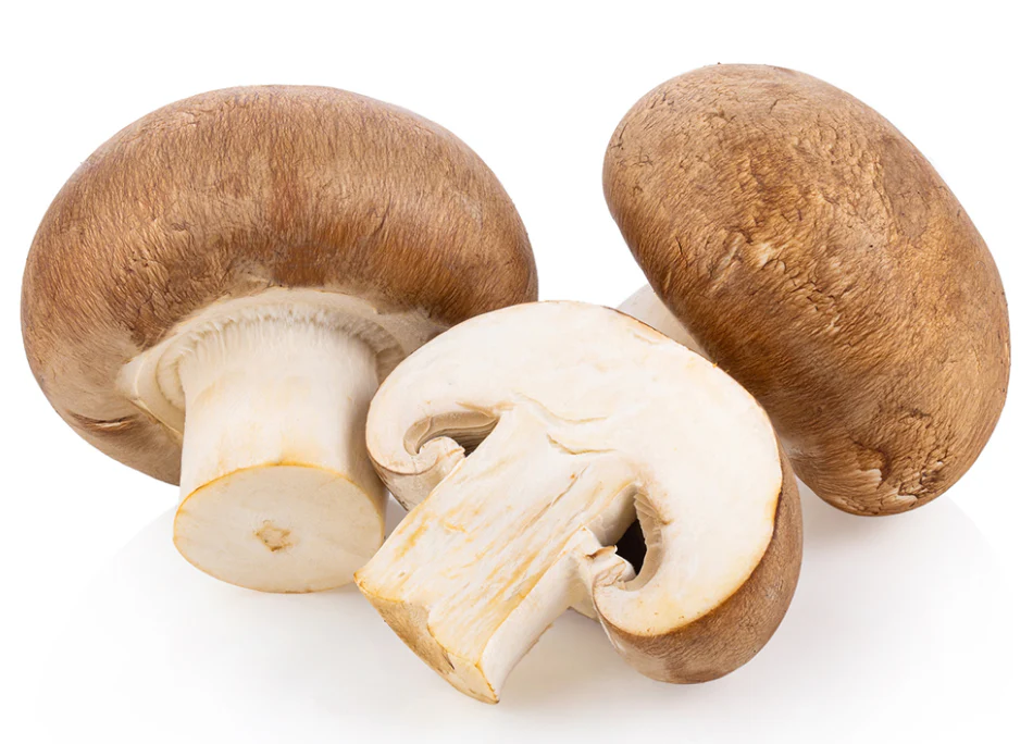 Hongo cremini kilo, kilo