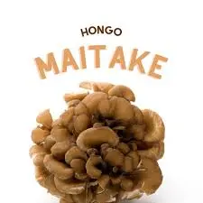 Hongo maitake, kilo