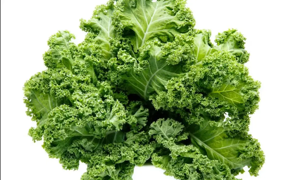 [1828] Kale, kilo