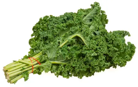 Kale, kilo