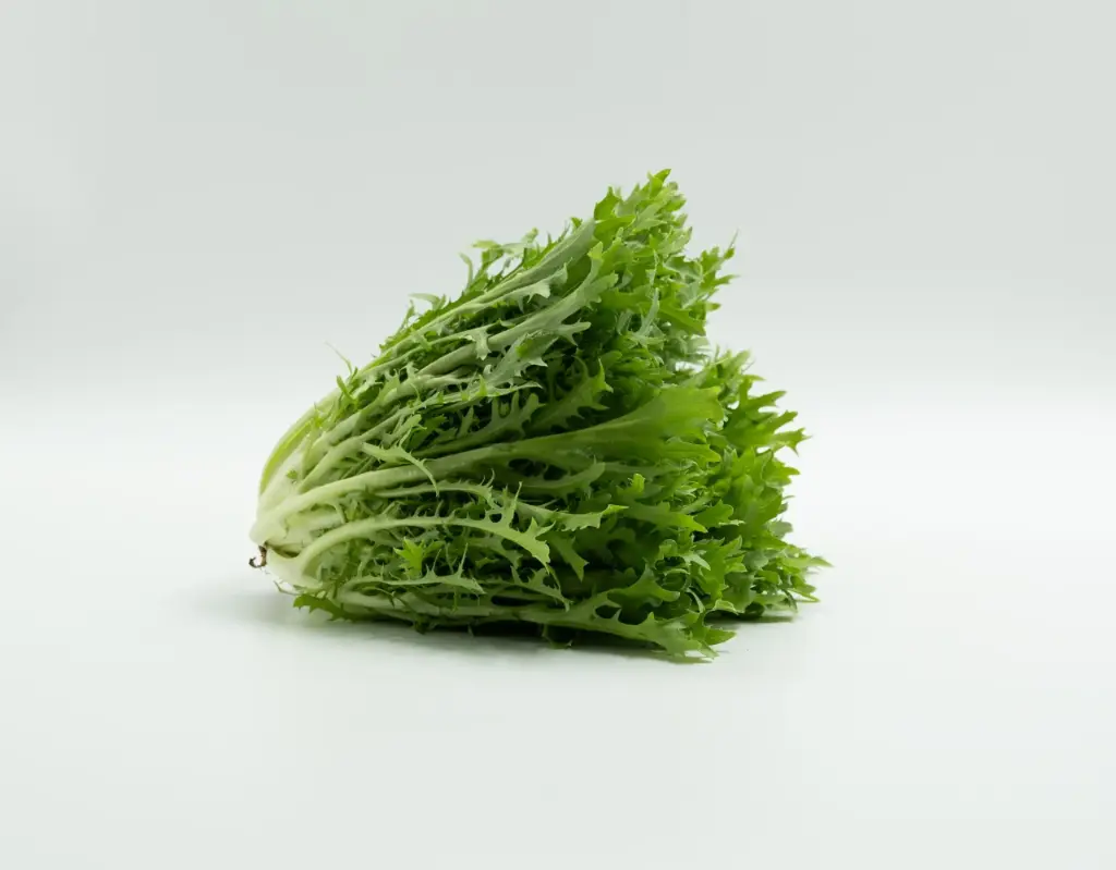 Lechuga escarola, pieza