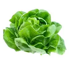 Lechuga francesa, pieza