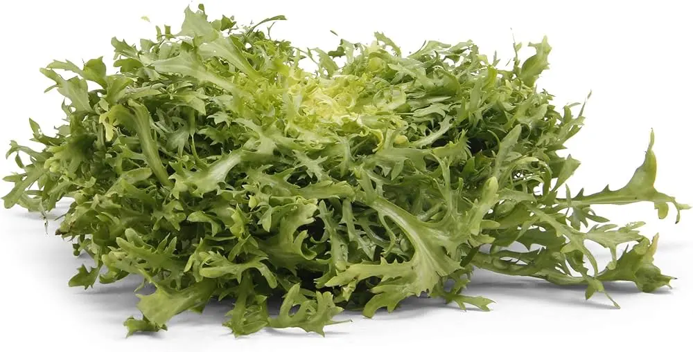 Lechuga frisse, pieza