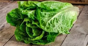 Lechuga romana, pieza