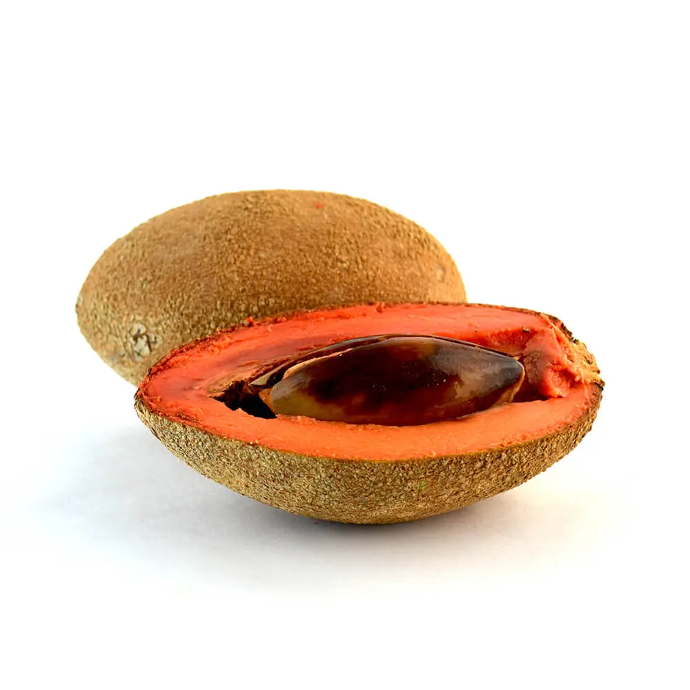 [1858] Mamey, pieza