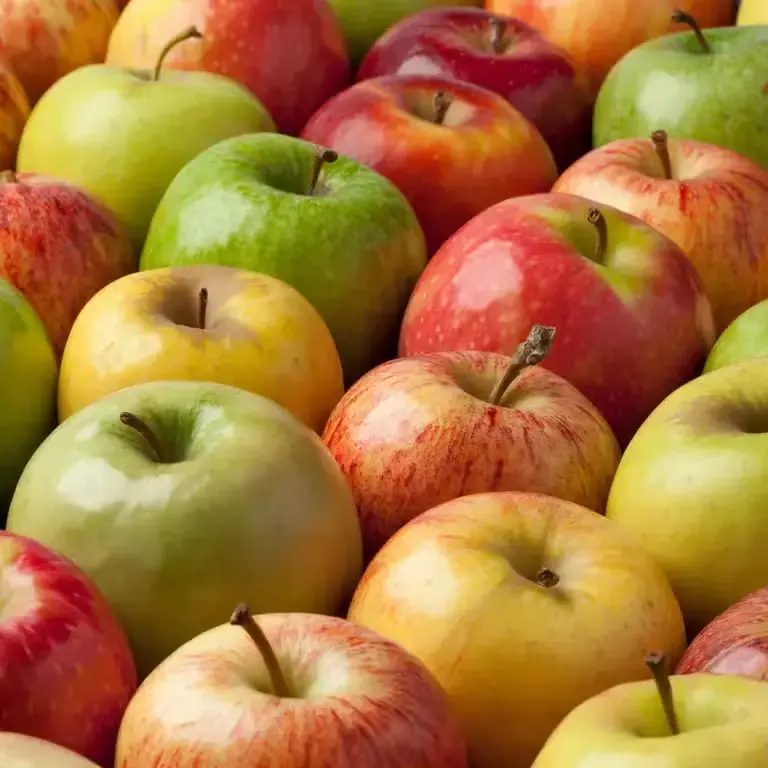 [1864] Manzana económica de tercera, kilo