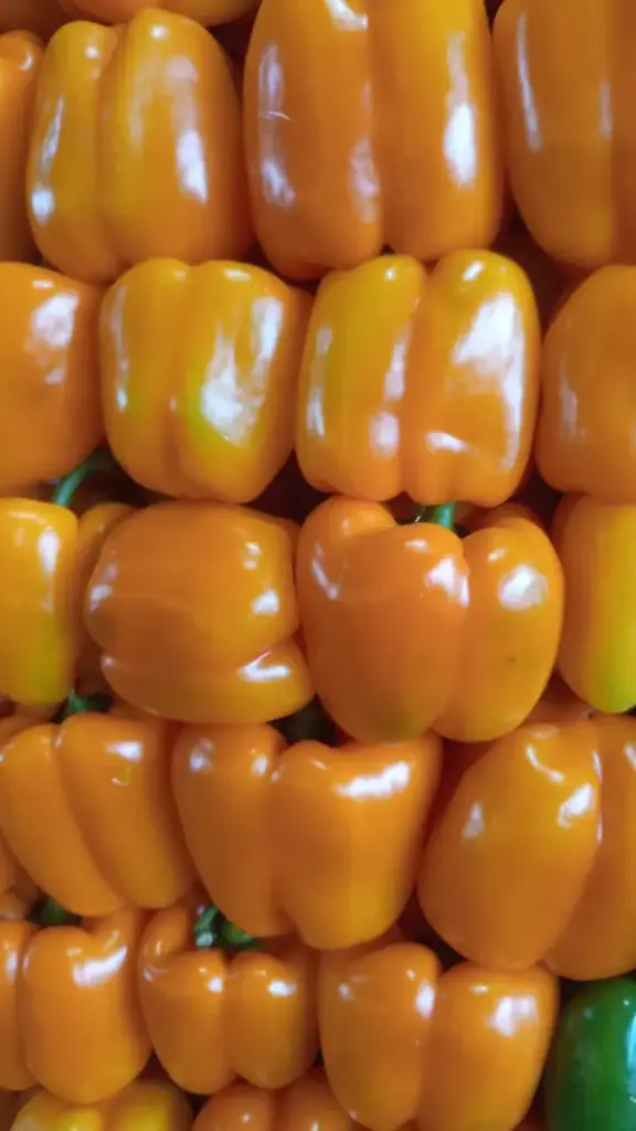 Morron amarillo o naranja, kilo