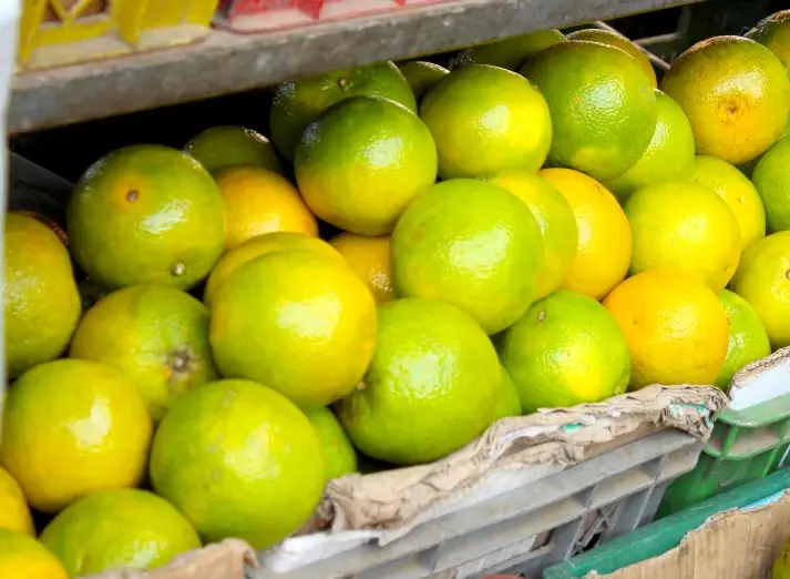 Naranja común (mas de 20 kilos), kilo