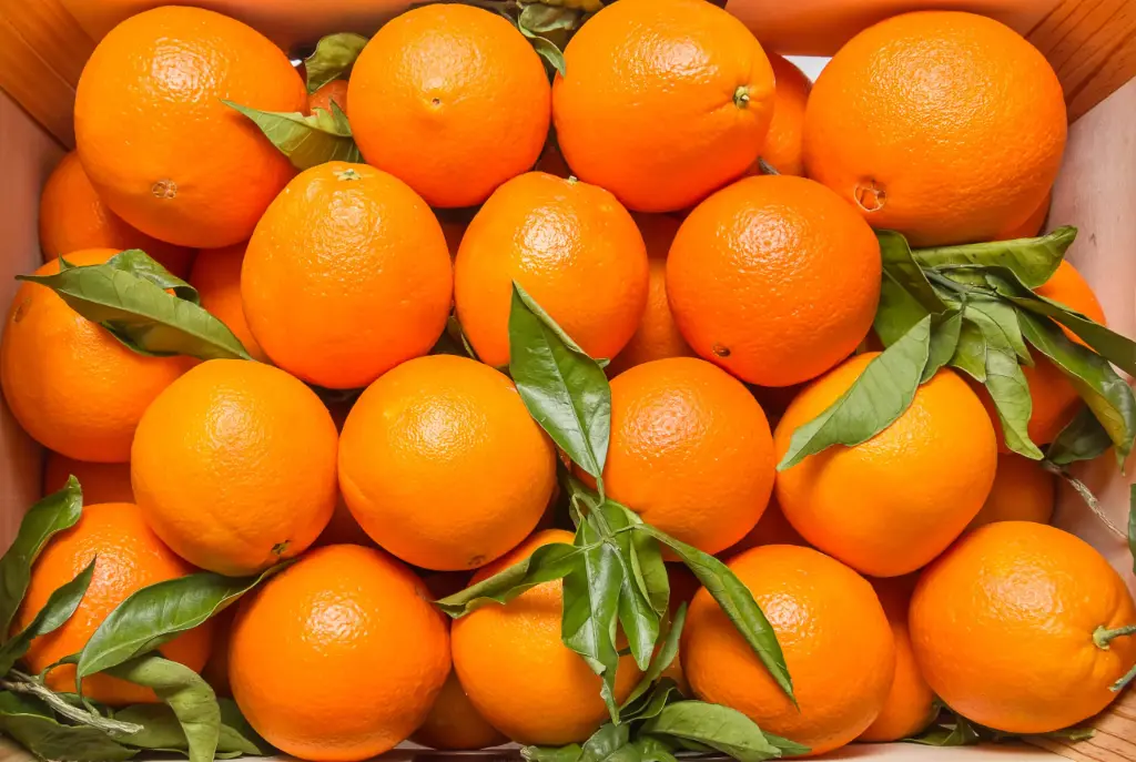 [1894] Naranja valenciana, kilo
