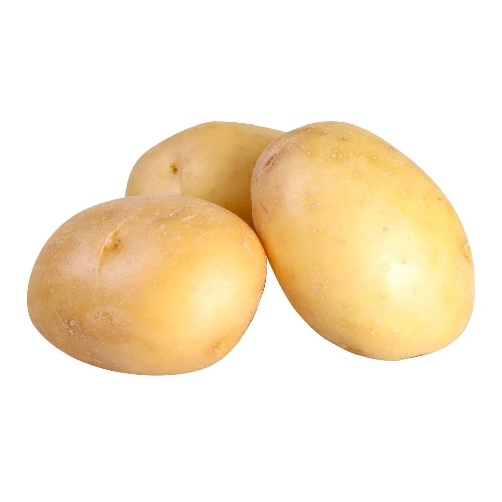 Papa alfa grande, kilo