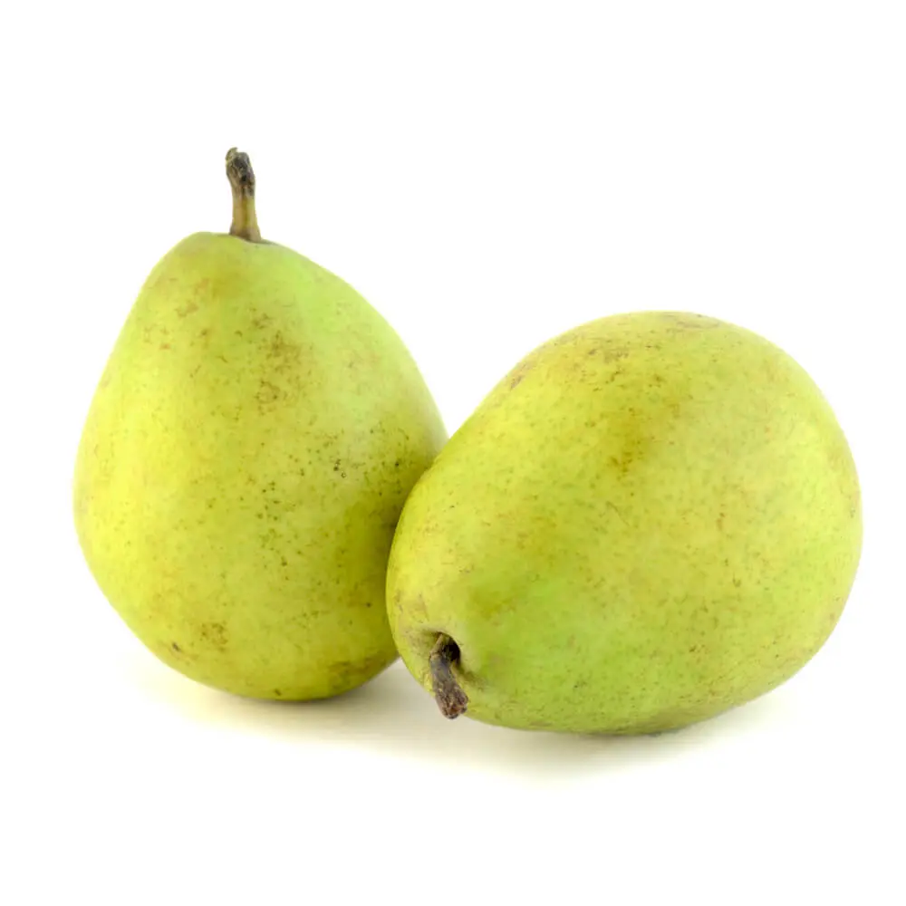 [1927] Pera mantequilla, kilo