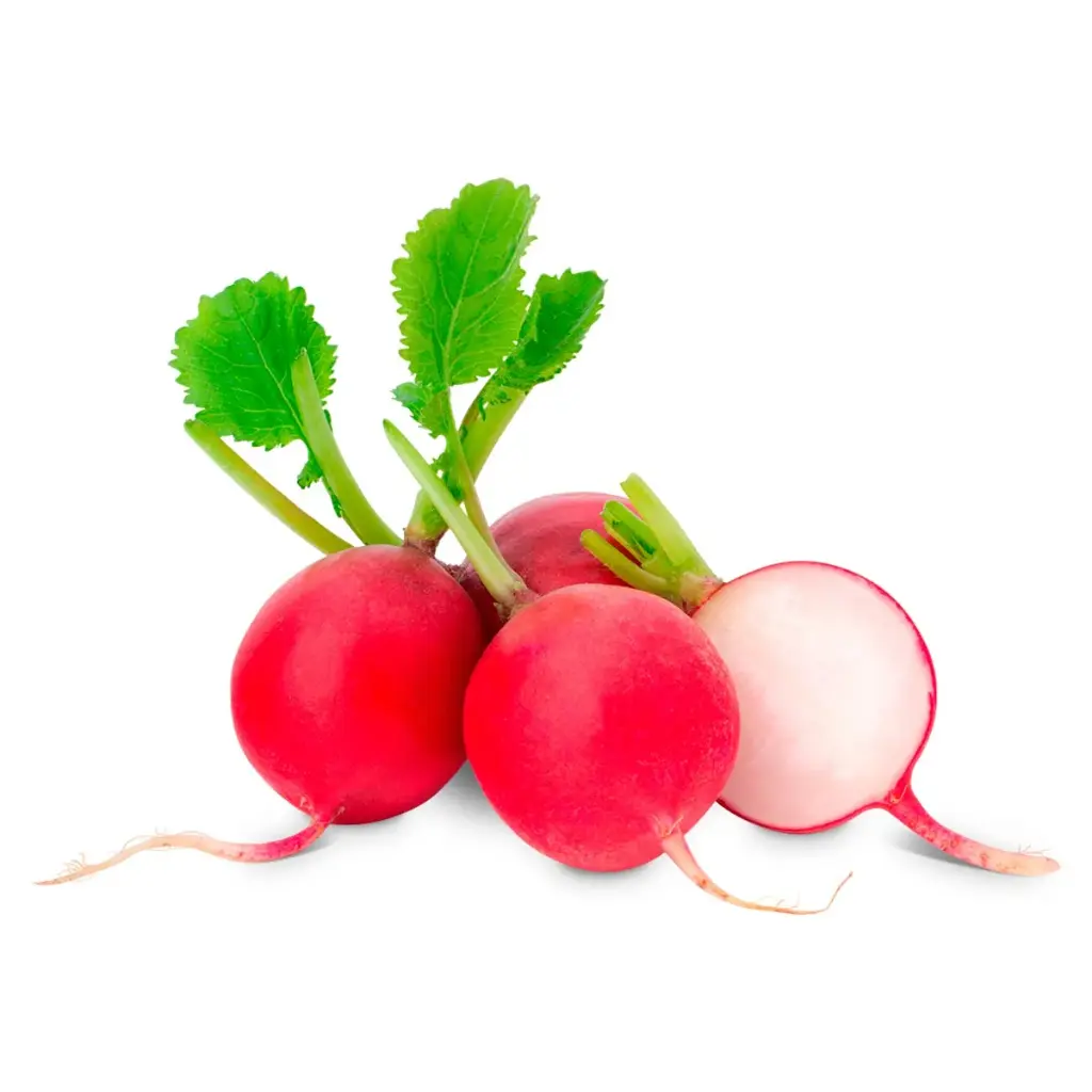 Rábano cambaray, kilo