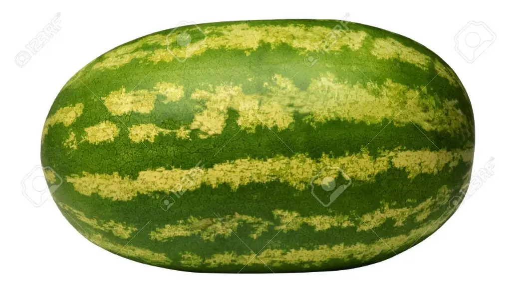 Sandia grande, pieza