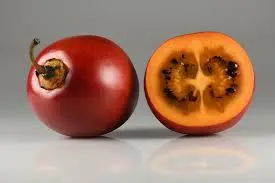 [1964] Tomate de arbol, kilo