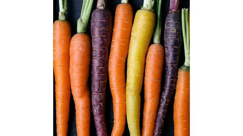 Zanahoria de colores, kio