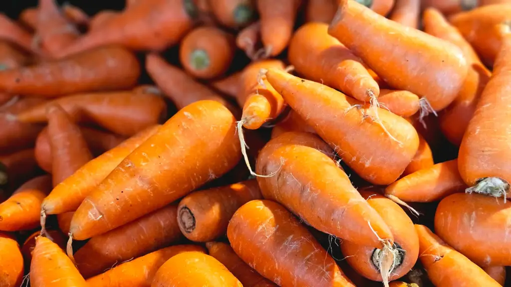 Zanahoria leñero (mas de 80 kilos), kilo