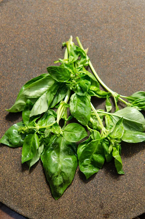 Albahaca genovesa, kilo