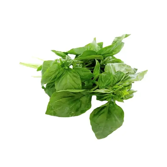 Albahaca italiana, kilo