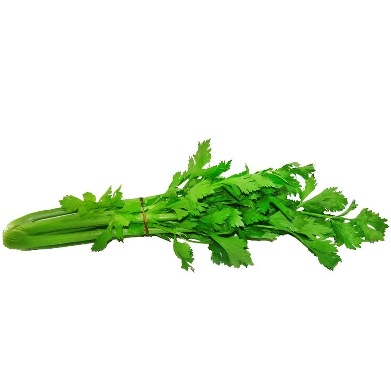 [2152] Apio chico, pieza