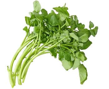 Berros manojo, 125 grs.