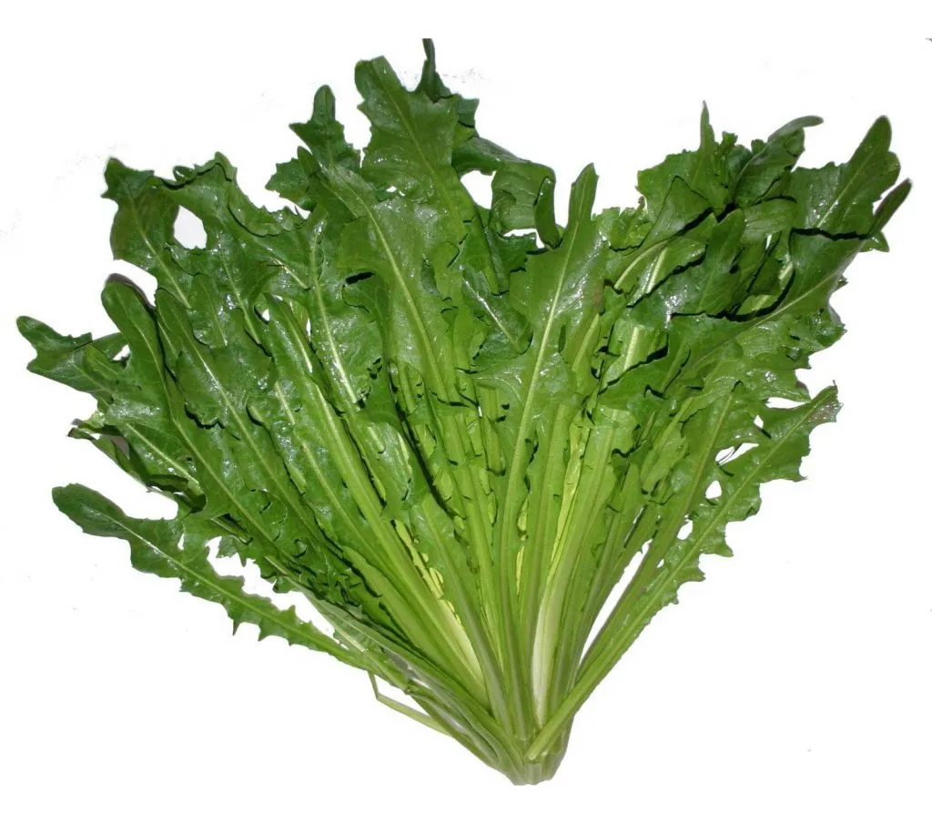 Chicoria, kilo
