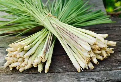 Lemon grass, kilo