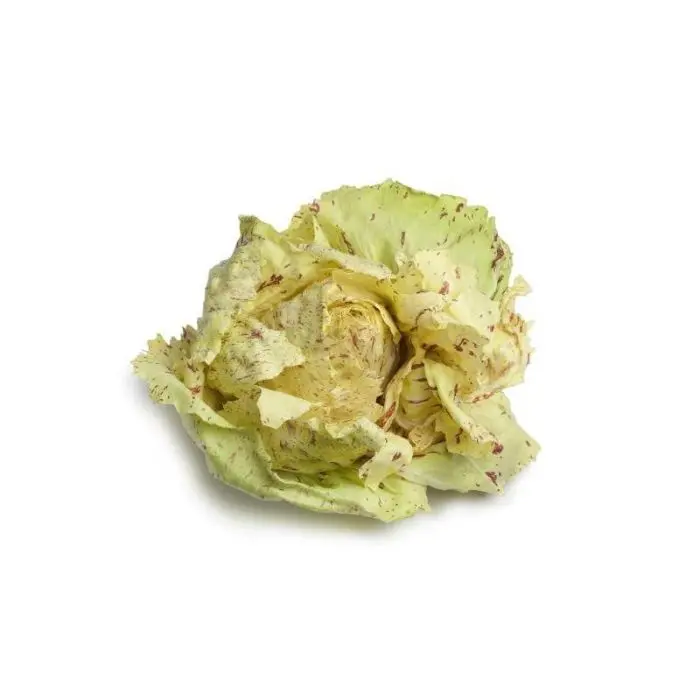 [2235] Radicchio Castelfranco, pieza