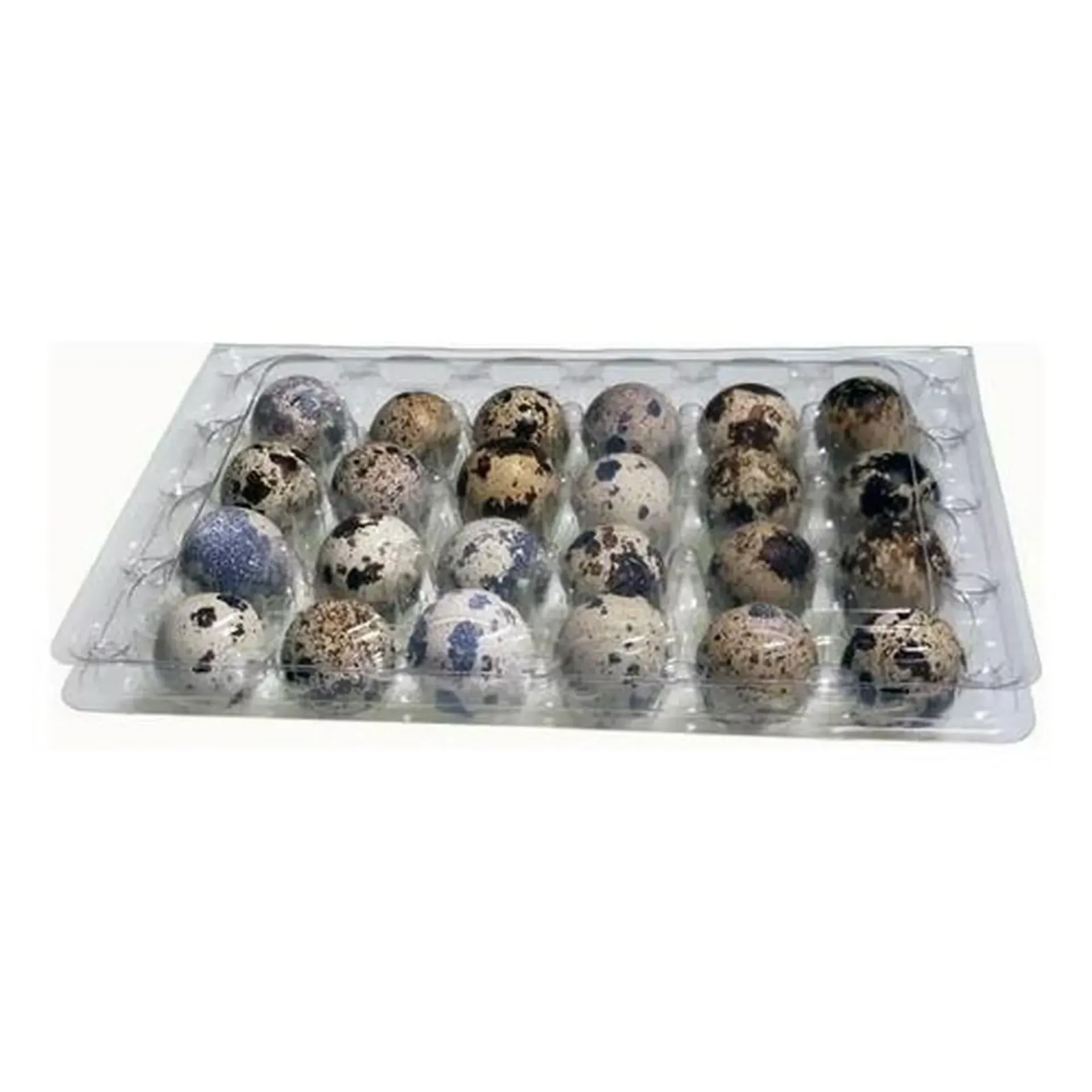 Huevo de codorniz, 24 piezas, charola