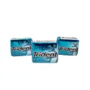 Chicle freshmint de 5.2 g, trident, pieza