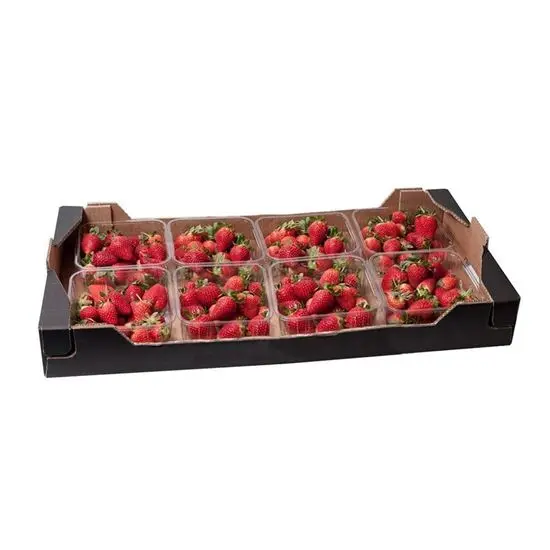 Fresa mediana domo 454 grs 8 pz, caja 