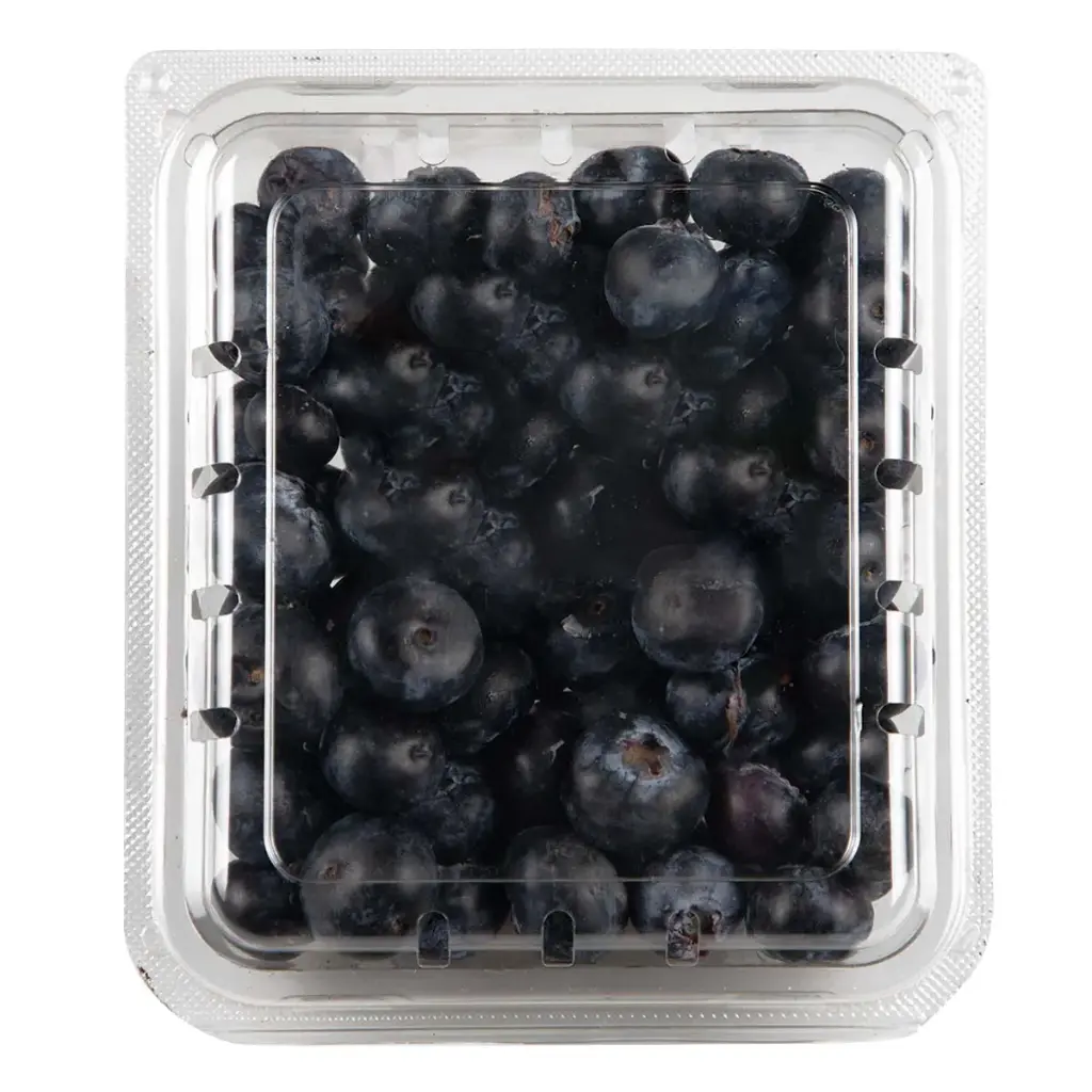 Blueberry domo de 170 grs 12 pz, caja