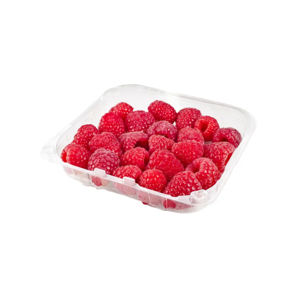 Frambuesa domo 170 grs 12 pz, caja