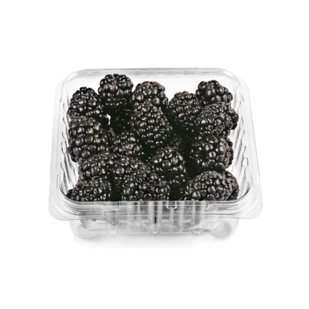 Zarzamora domo 170 grs 12 pz, caja